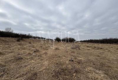 Teren intravilan pentru constructii de vanzare in Feleacu - 3