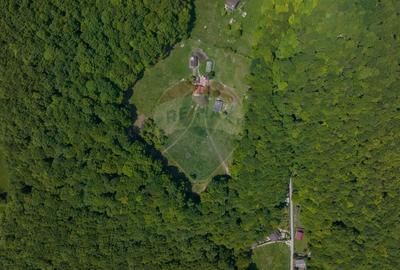 Teren de vanzare - Colonia 1 Mai, 5.310 mp, ideal pentru investitie - 5