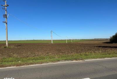 Teren de 8677 mp, în Central - 4