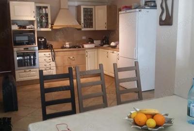 Vanzare proprietate mobilata ?i utilata, situata in sta?iunea montana Ranca - 7