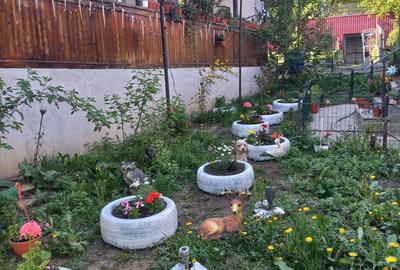 Casă cu 4 camere în Hreațca - 1