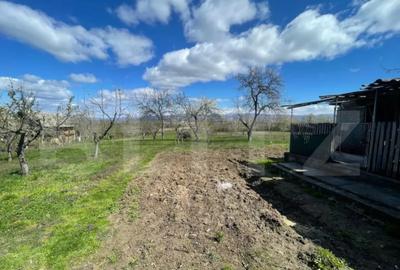 Casă cu 3 camere cu Teren 3000 Mp în Central - 3