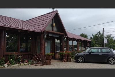 Pensiune cu lac privat și piscină - afacere la cheie în Neamț - 1