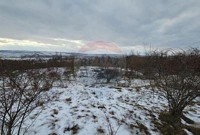 Teren 10,000mp Rada?eni / ?oseaua DN2-E85, jude?ul S... - 4