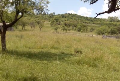 Teren de 10400 mp, în Central