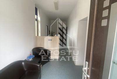 Casa în Dumbrăvița cu teren de 3039 mp și Front Stradal de 40 ml - 8