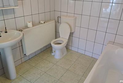 Casă în Lugojului - 3