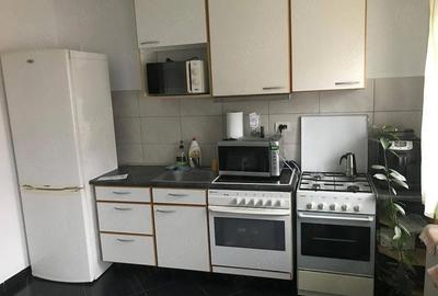 Casă cu 1 camere cu Teren 1500 Mp în Aradul Nou - 3