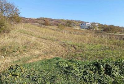 Teren Intravilan langa Dunare! Disponibil la 15 Euro mp - 2