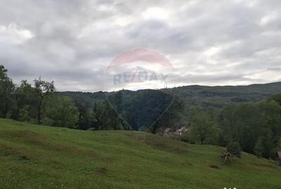 Teren de 4000 mp, în Moroeni - 3