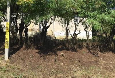 Teren de 2370 mp, în Cozmești - 3