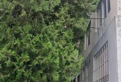 Apartament cu 2 camere decomandat în Drumul Taberei - 1