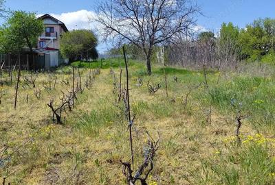 Schimb teren intravilan Filesti, 3.250 mp, cu apartament in Gala?i + diferen?a - 9