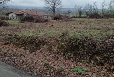 Unguras, 20 ari teren - 1