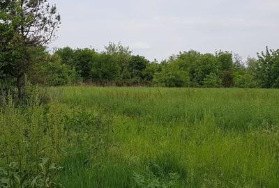 O oportunitate excepțională pe malul Lacului Snagov - 3