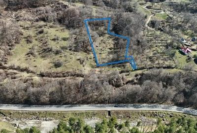Teren de 4001 mp, în Căpățânenii Ungureni - 4