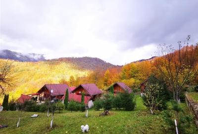 4 cabanute din lemn,Boga,Parc Natural Apuseni,Bihor - 8