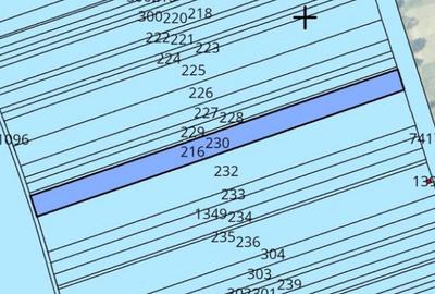 Teren de 8016 mp, în Nucet - 4