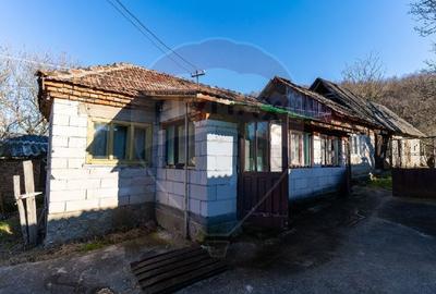 Casă cu 4 camere cu Teren 390 Mp în Peștenița - 7