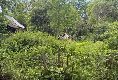 Teren Construcții intravilan de 683 mp, în Plaiu (Provița de Sus) - 9