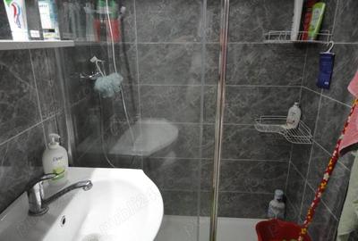 Apartament 1 camera in bloc de apartamente, parter, zona Vlaicu, recent renovat - 4