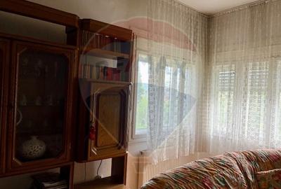 Casa / Vila cu 7 camere de vanzare - 5
