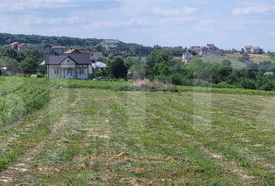 Teren de 3600 mp, în Central - 2