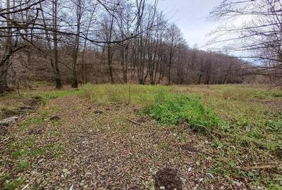 Teren Construcții intravilan de 1308 mp, în Govândari - 12