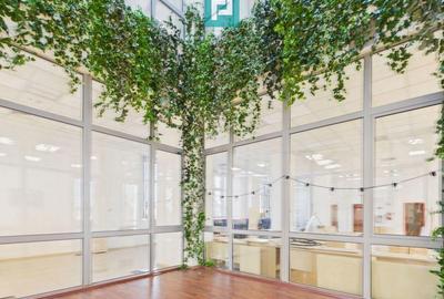 Spa?iu de birouri clasa A, 700 mp in Arad - 7