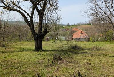 Teren de 1500 mp, în Șimnicu de Sus - 5