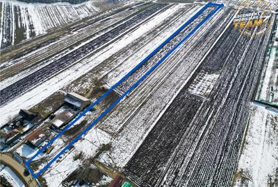 Teren de 6245 mp, în Dobolii de Jos - 4