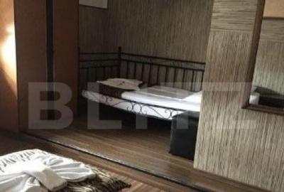 Pensiune de inchiriat, 450 mp, zona Lugojului Pensiune de inchiriat, 450 mp, zona Lugojului - 5