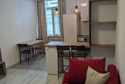 Garsonieră în Timișu de Jos - 3