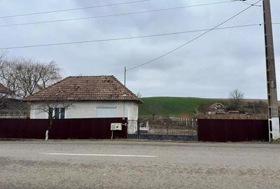 Casă cu 2 camere cu Teren 1000 Mp în Șăulia - 7