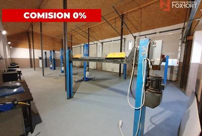 Comision 0% Afacere la cheie: service auto de inchiriat 246 mp utili, Sag - 4