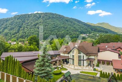Resedinta privata, cu piscina, crama si cinematograf, Bran, COMISION 0%