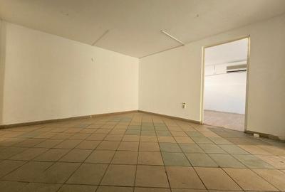 Ferdinand stradal | Vila individuala S+P+2+M | Curte proprie | Constructie 2002 - 30