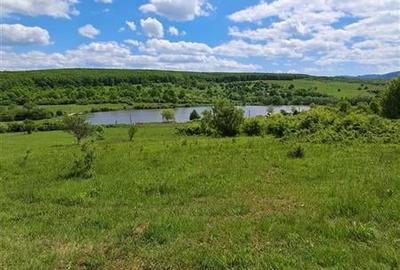 Teren 550 mp de vanzare in Tocile - 5