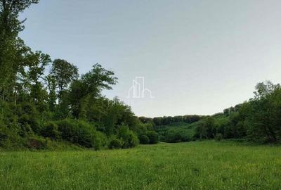 Teren de vanzare, 20.000Mp , Comuna Danes, drumul Crisului - 2