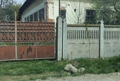 Vand Casa cu teren la COSOVENI, DOLJ - 3