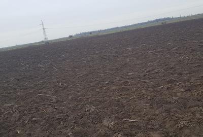 Teren Construcții intravilan de 20000 mp, în Est - 4