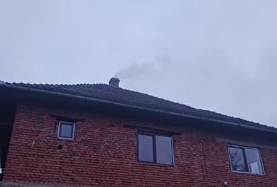 Chelinta, casa 1,2ha teren - 4