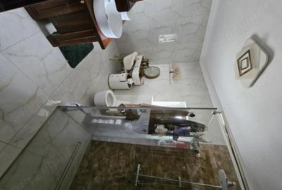 Casa de vanzare in Peciu Nou - 10