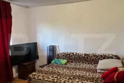 Apartament 2 camere decomandat in zona linistita - 7