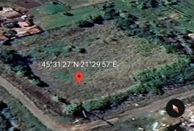 Vand Teren Intravilan In Tormac,Jud Timis - 2