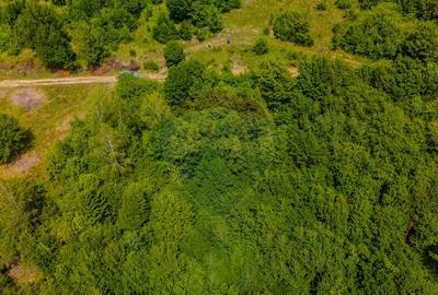 COMISION 0% Teren Grid/Inima Naturii/ Oportunitate de inv... COMISION 0% Teren Grid/Inima Naturii/ Oportunitate de inv... - 3