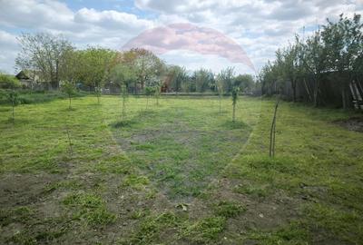 Casă cu 3 camere cu Teren 1439 Mp în Satu Mare - 21