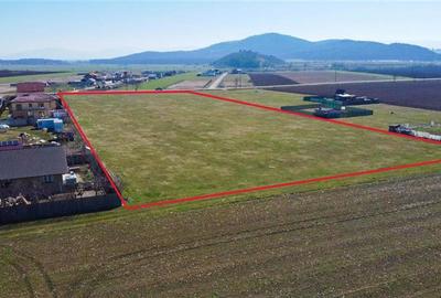 Teren Construcții intravilan de 18188 mp, în Exterior Est - 3