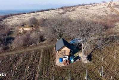 Spațiu comercial, în Covăsinț - 10