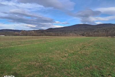 Spațiu comercial, în Central - 3